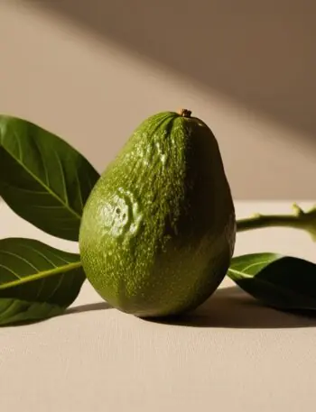 Avocado The Ultimate Superfood for Healthy Fats